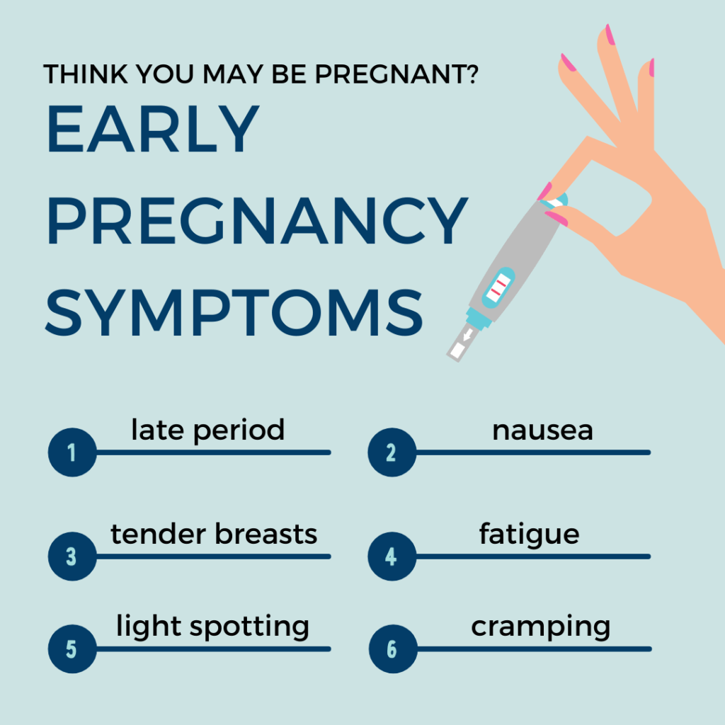 early pregnancy symptoms infographic