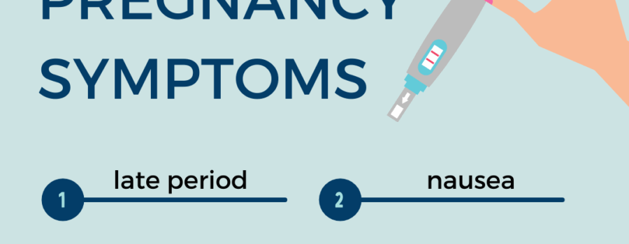 early pregnancy symptoms infographic